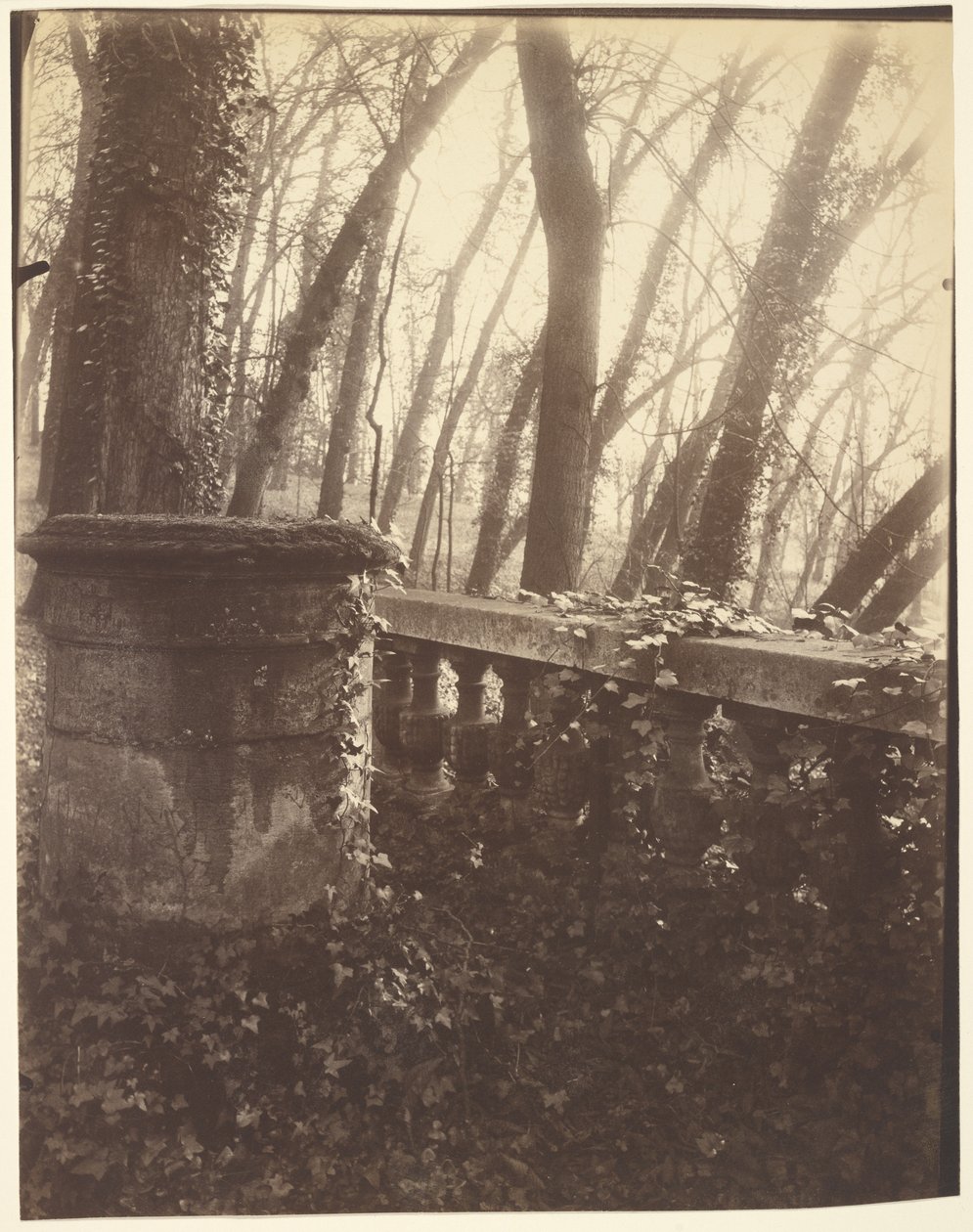 Saint-Cloudin puisto, Pariisi tekijältä Eugène Atget