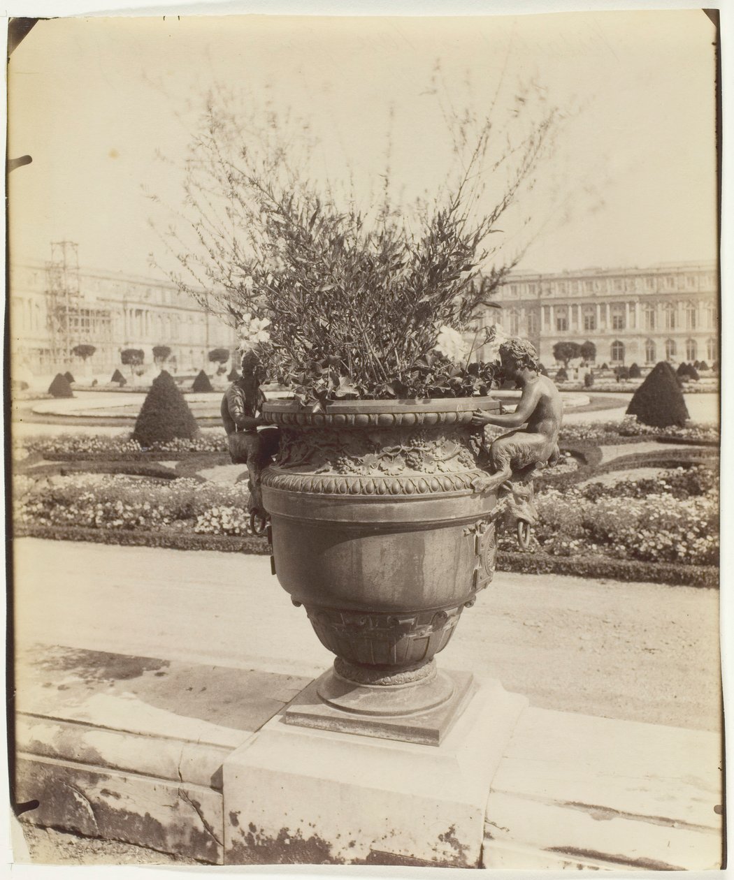 Versailles, Ballinin maljakko, 1902. tekijältä Eugène Atget