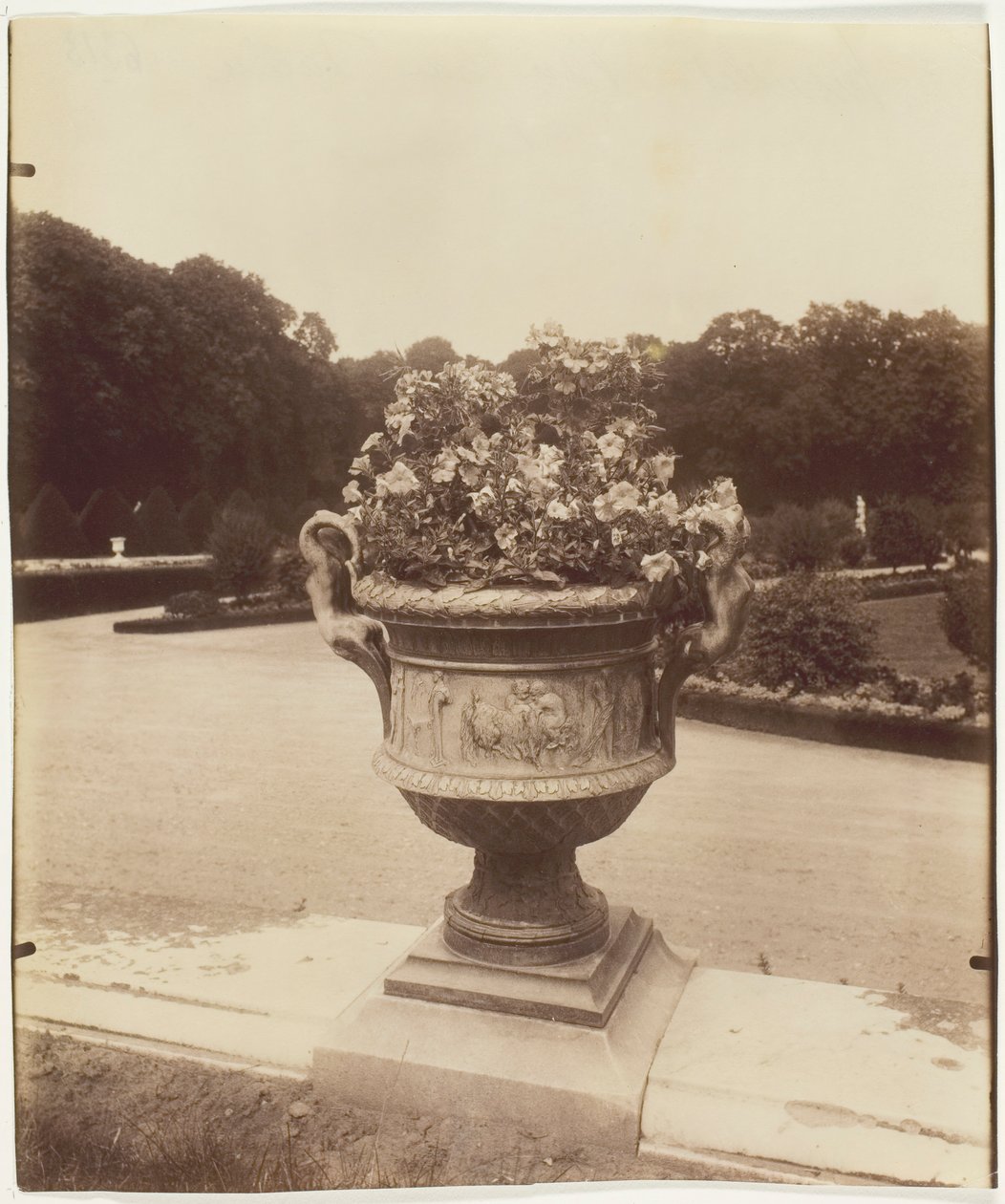 Versailles, Ballinin maljakko, 1902. tekijältä Eugène Atget