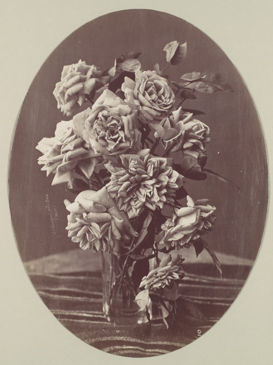 [Ruusut], n. 1875. tekijältä Eugène Chauvigné