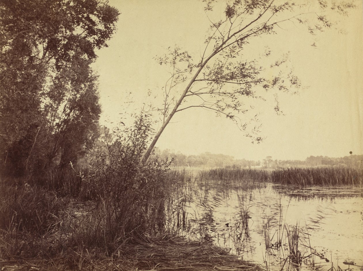Marais de Fampoux, 1860-luvun alku. tekijältä Eugène Cuvelier
