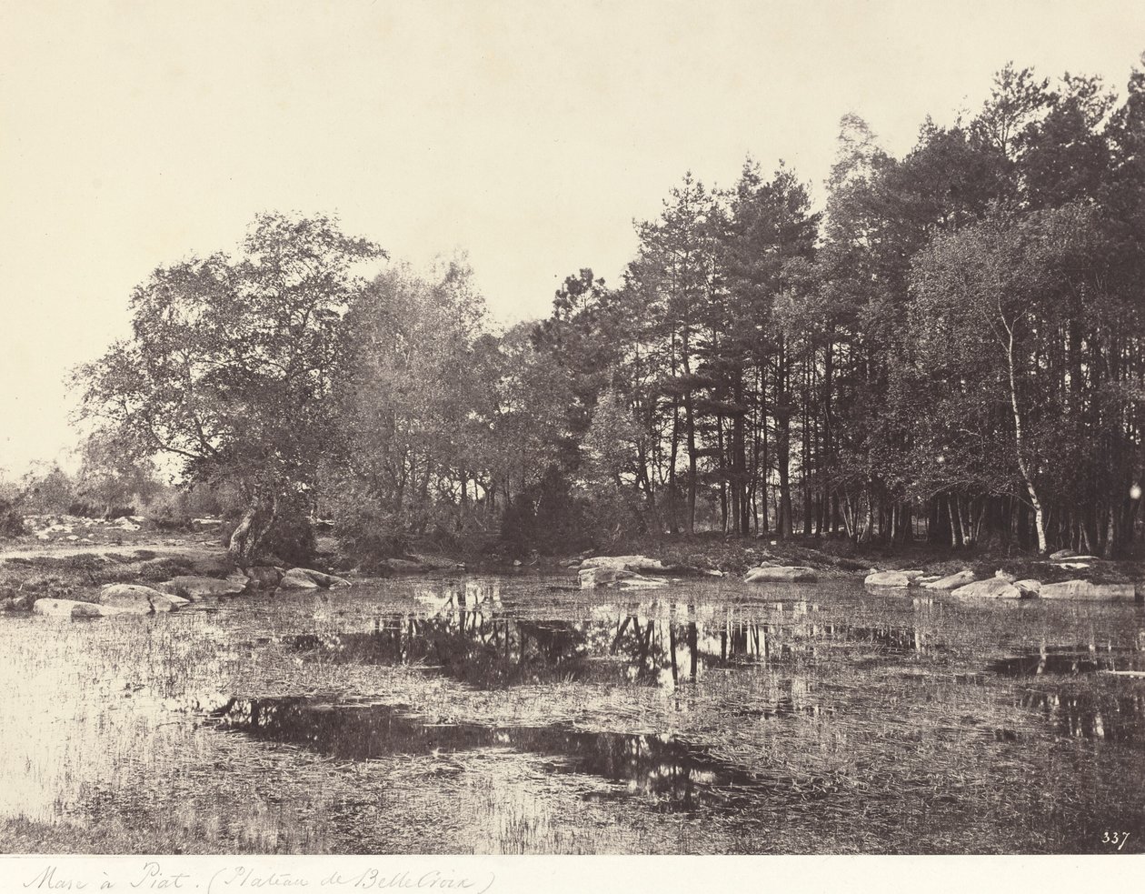 Marsh at Piat (Belle-Croix Plateau) tekijältä Eugène Cuvelier
