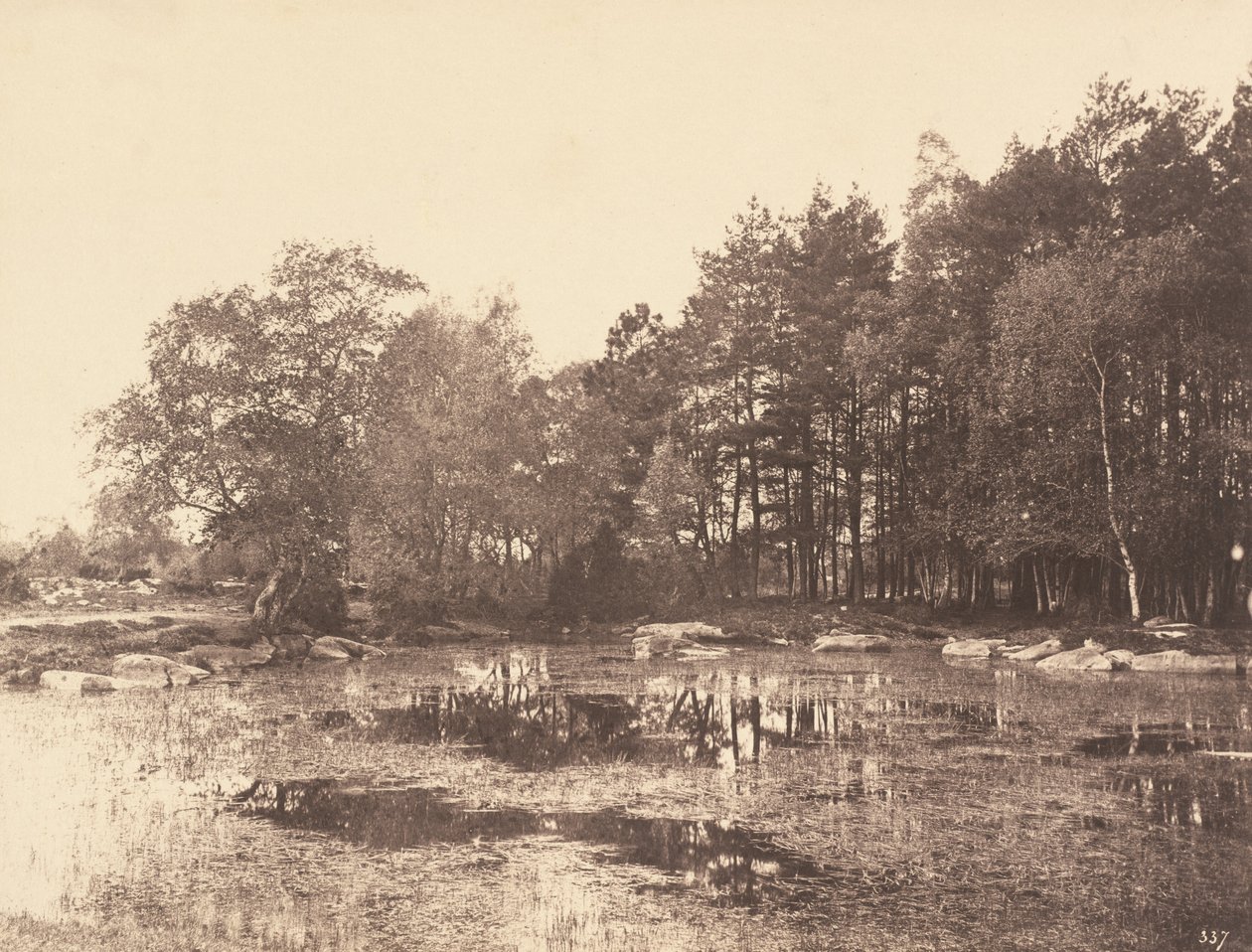 Marsh at Piat (Belle-Croix Plateau) tekijältä Eugène Cuvelier