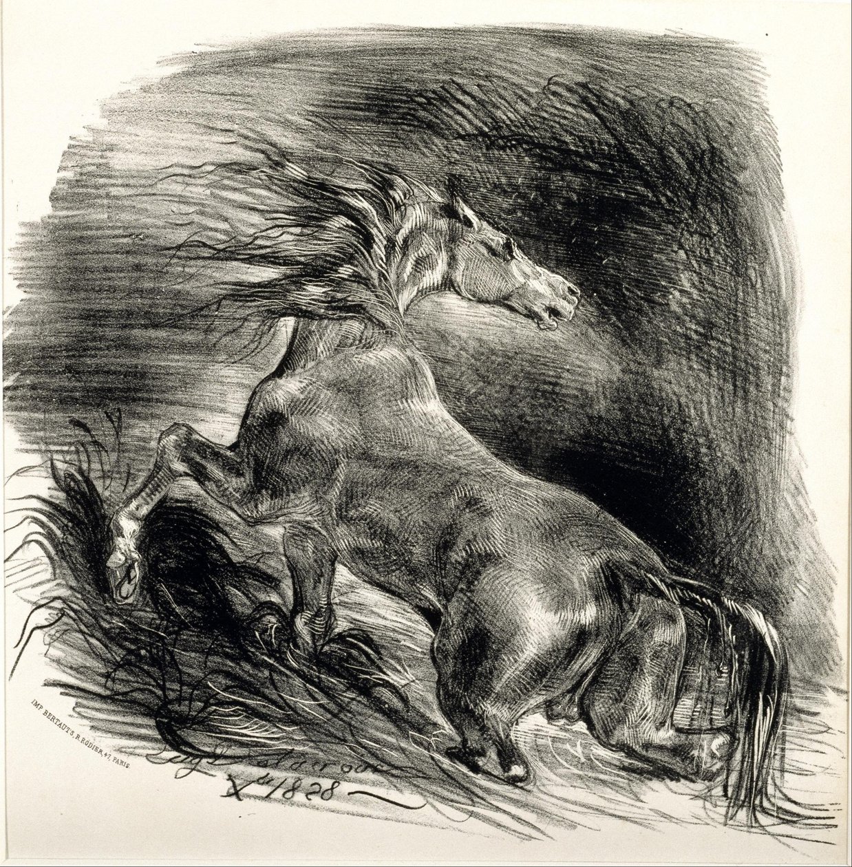 Villihevonen tekijältä Ferdinand Victor Eugene Delacroix
