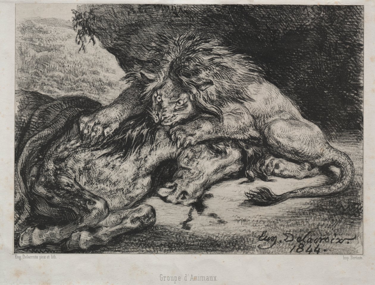 Leijona syö hevosta tekijältä Eugène Delacroix