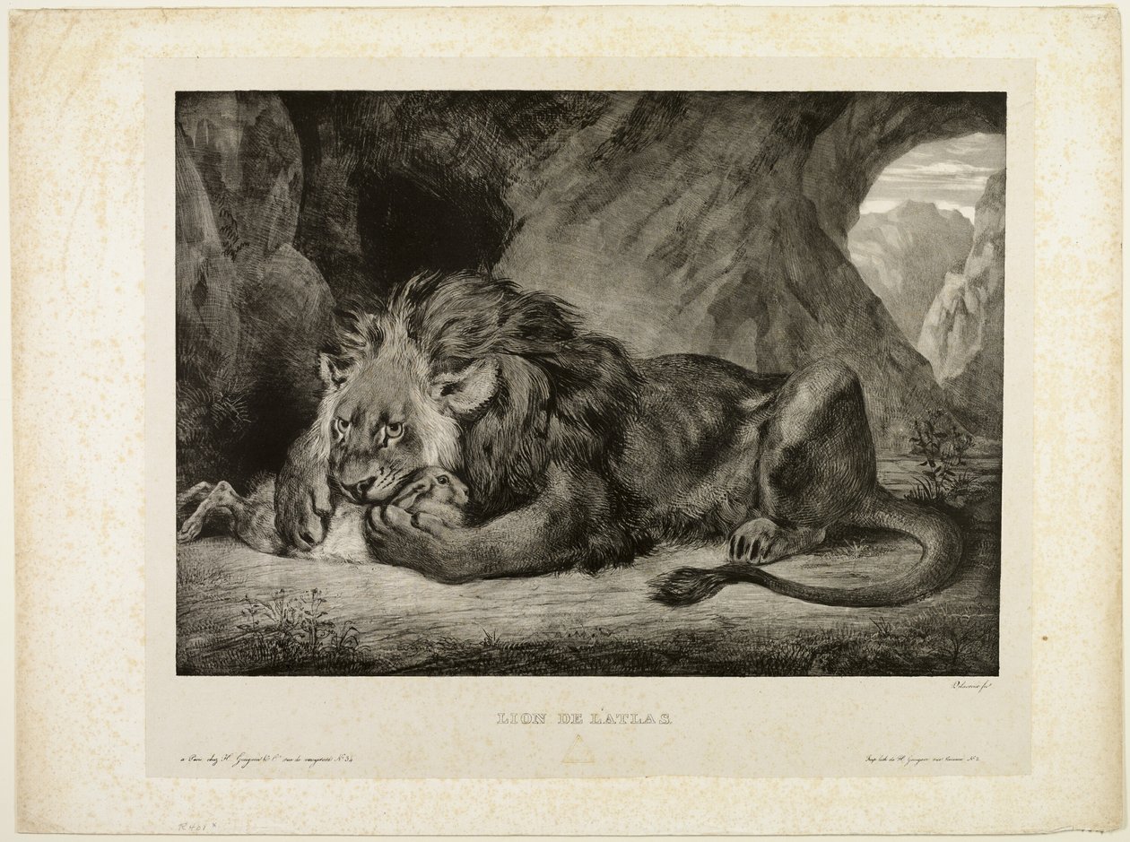 Atlasvuorten leijona tekijältä Eugène Delacroix
