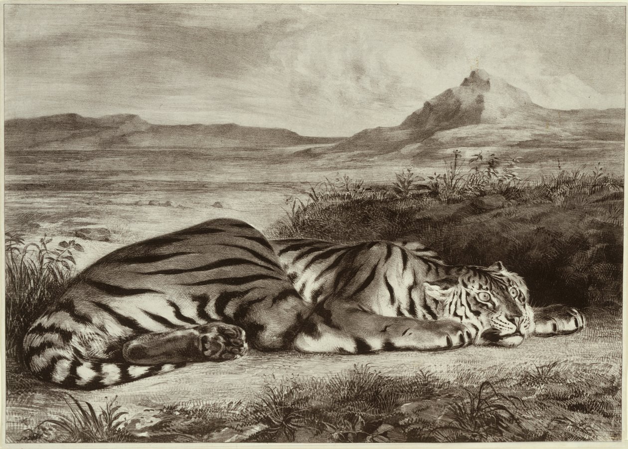 Kuninkaallinen tiikeri tekijältä Eugène Delacroix