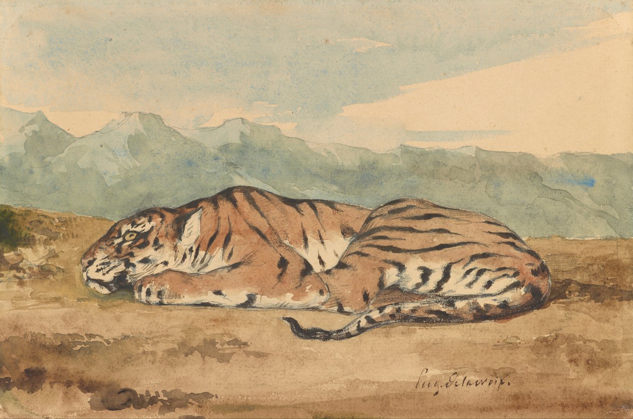 Kuninkaallinen tiikeri tekijältä Eugène Delacroix