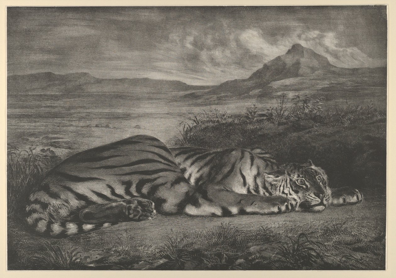 Kuninkaallinen tiikeri, 1829, 1829. tekijältä Eugène Delacroix