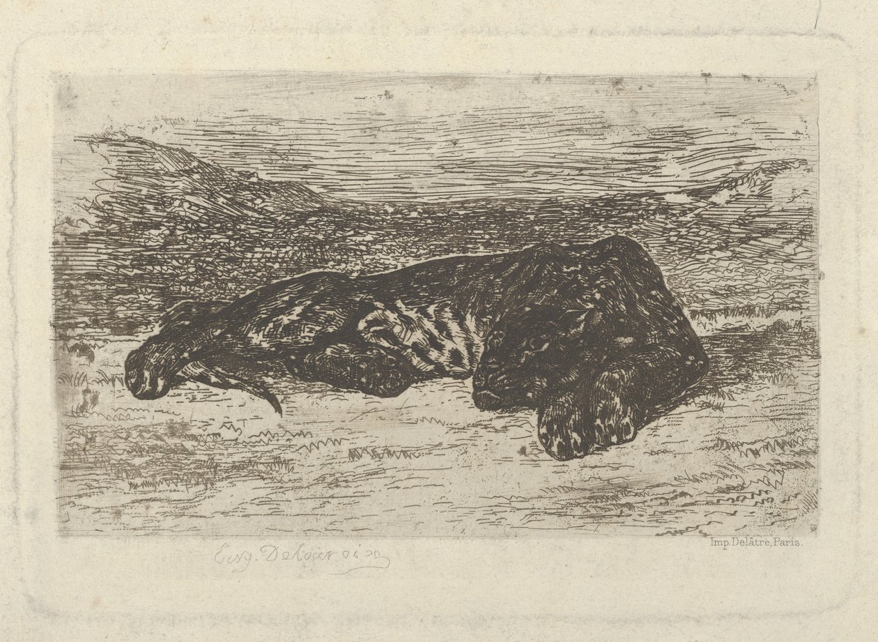 Tiikeri makaa autiomaassa, 1846, 1846. tekijältä Eugène Delacroix