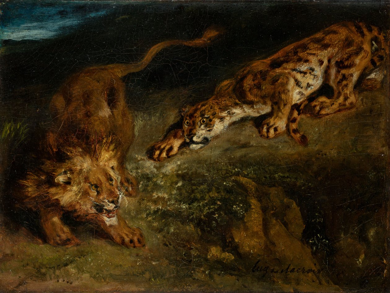 Tiikeri ja leijona tekijältä Eugène Delacroix