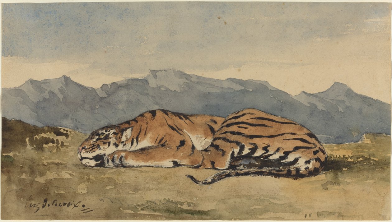 Tiger, c. 1830. tekijältä Eugène Delacroix