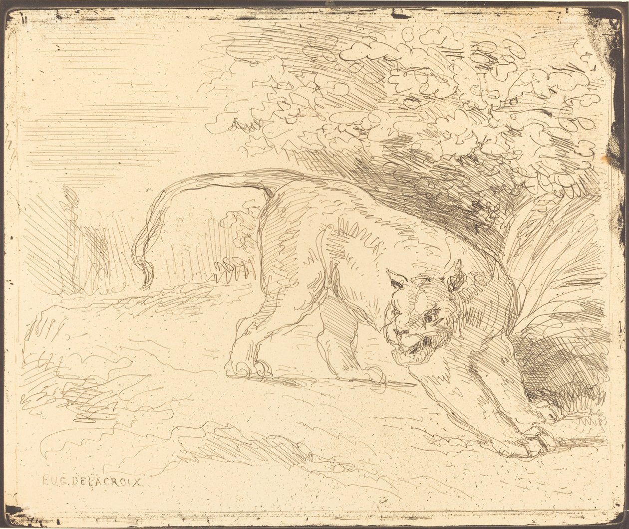 Tiger in Stop, 1854. tekijältä Eugène Delacroix