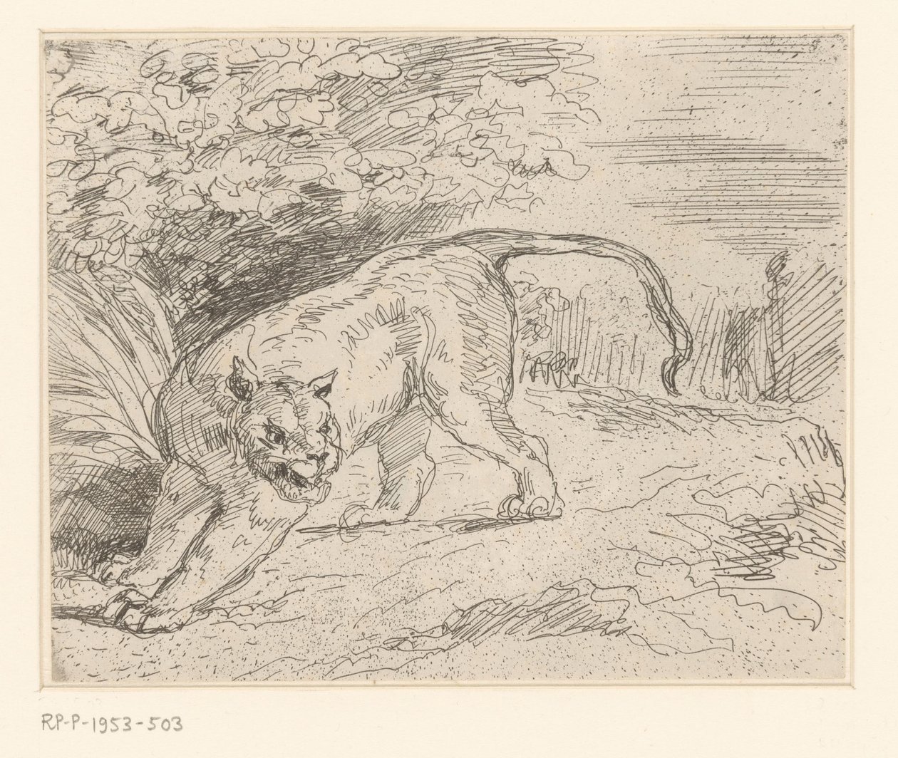 Tijger Tiikeri pysäkillä tekijältä Eugène Delacroix