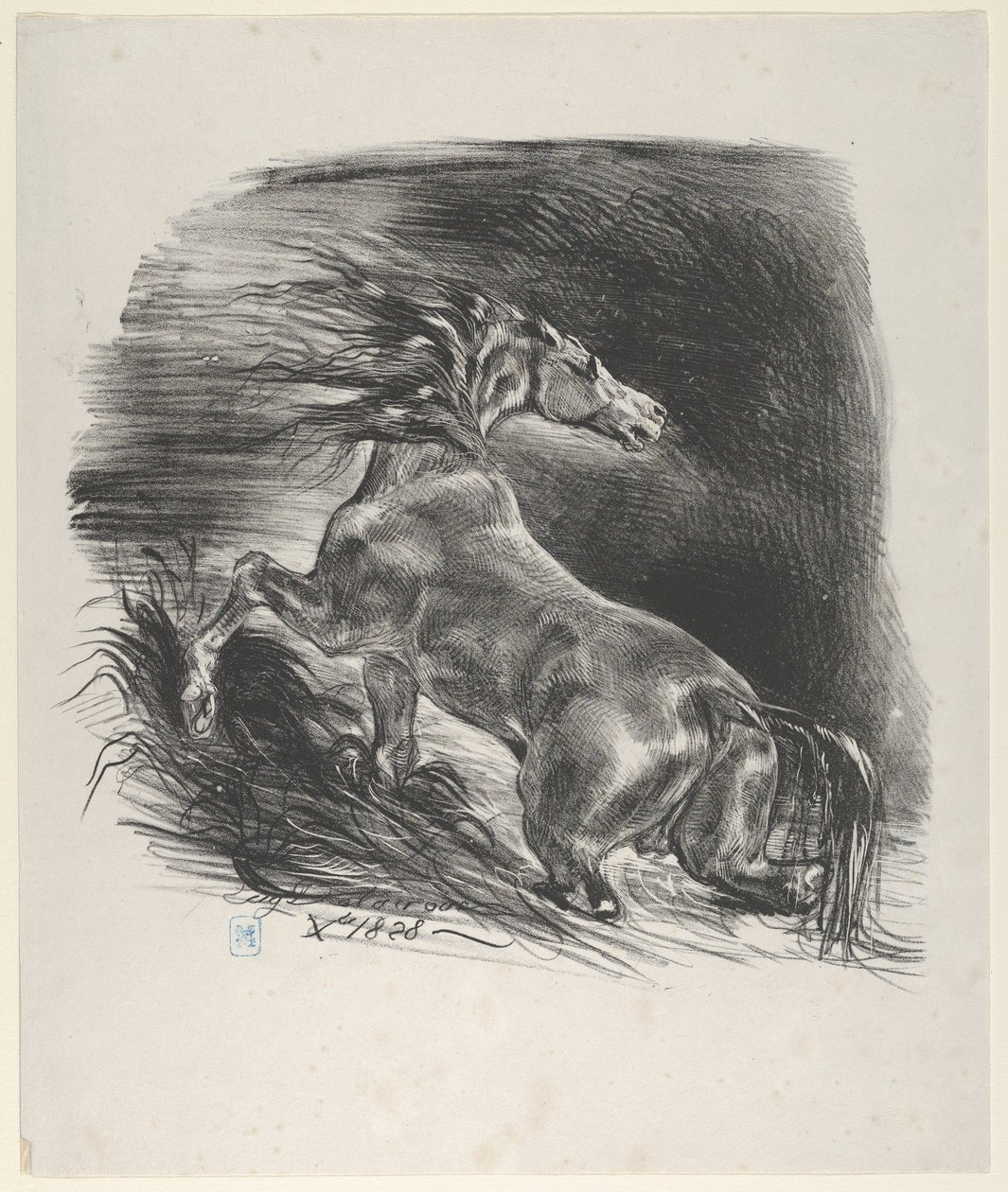 Villihevonen, 1828, 1828. tekijältä Eugène Delacroix