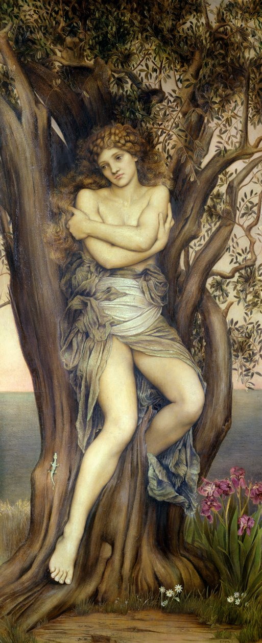 Dryad, 1884-85 tekijältä Evelyn De Morgan