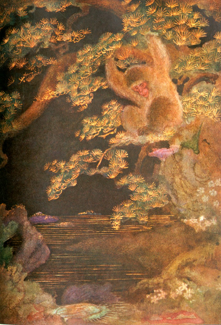 Jelly Fish and the Monkey, 1912. tekijältä Evelyn Paul