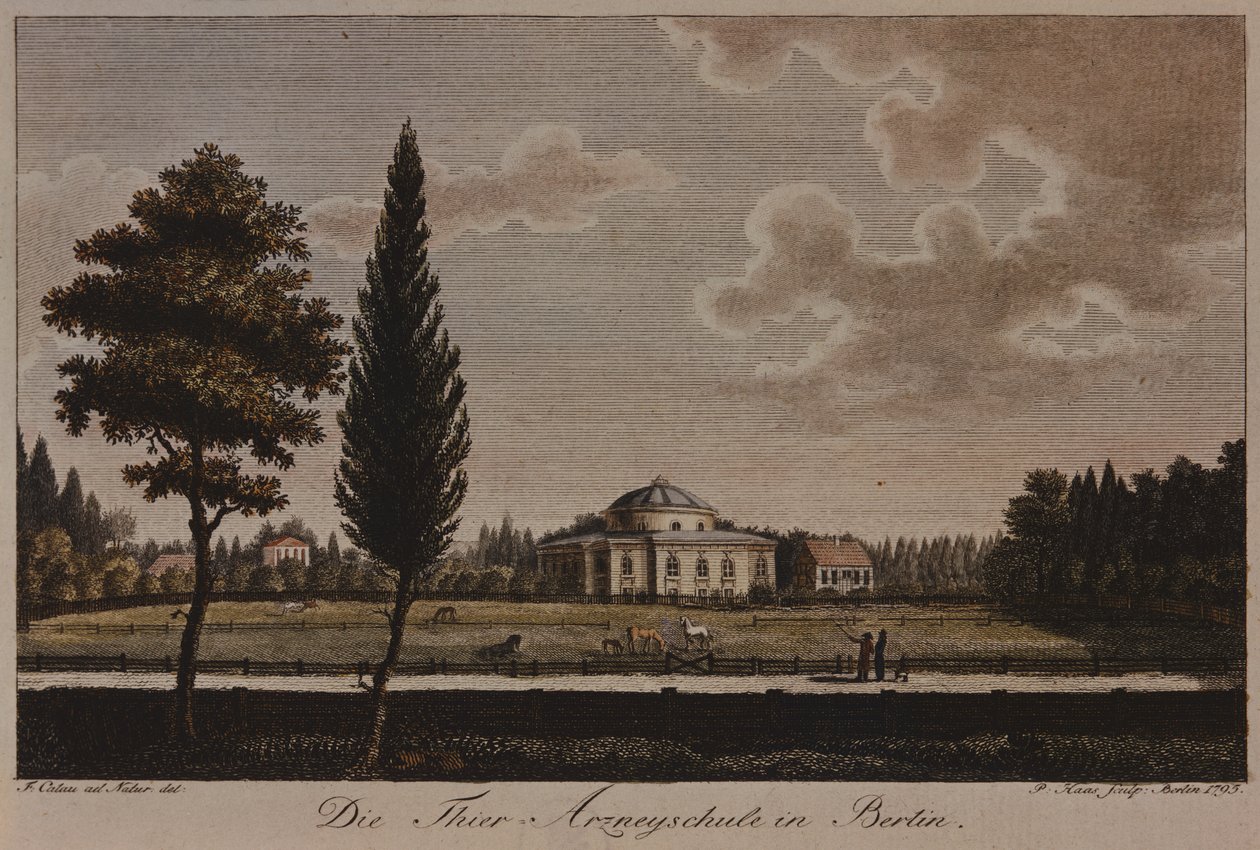 Eläinlääkärikoulu, Berliini, 1795 (etsaus) tekijältä F.A. Calau