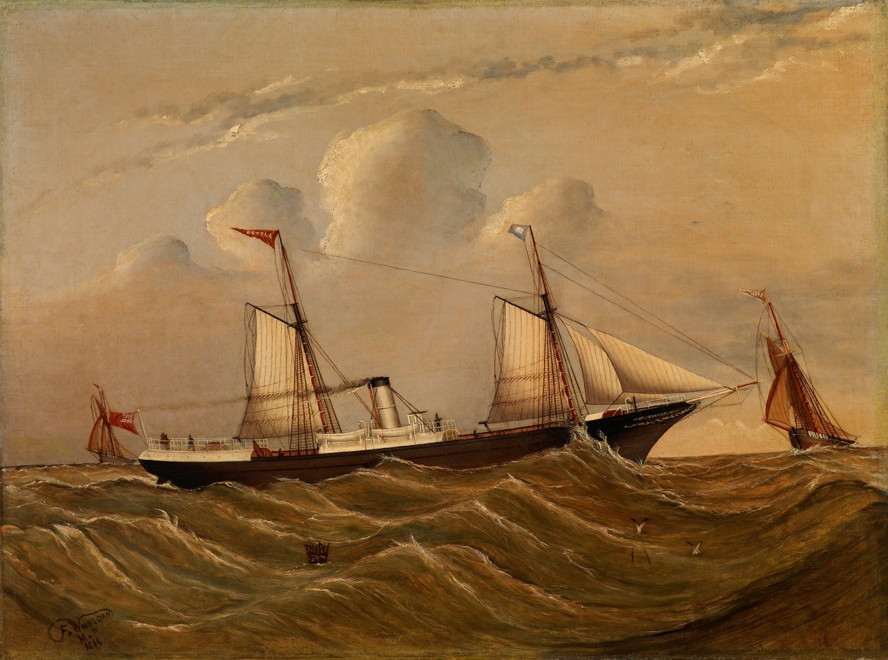 Höyrylaiva Alster tekijältä F.M.P. Wheldon