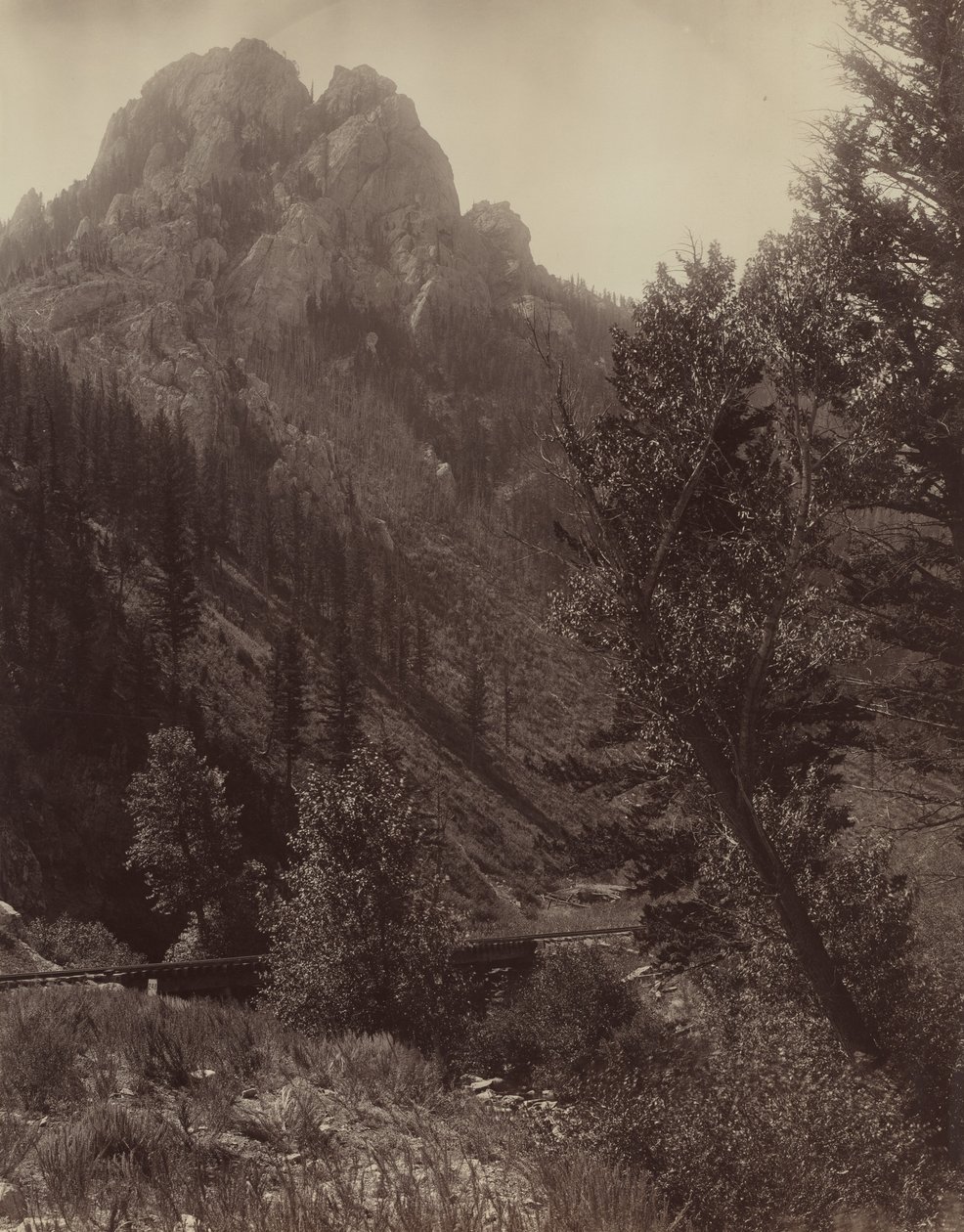 Nimetön, c. 1884. tekijältä F. Jay Haynes