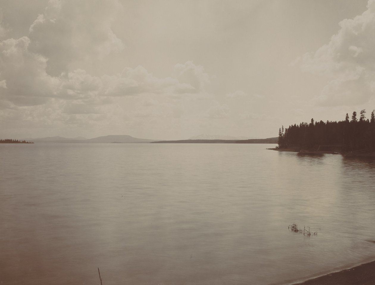 Yellowstonen järvi tekijältä F. Jay Haynes