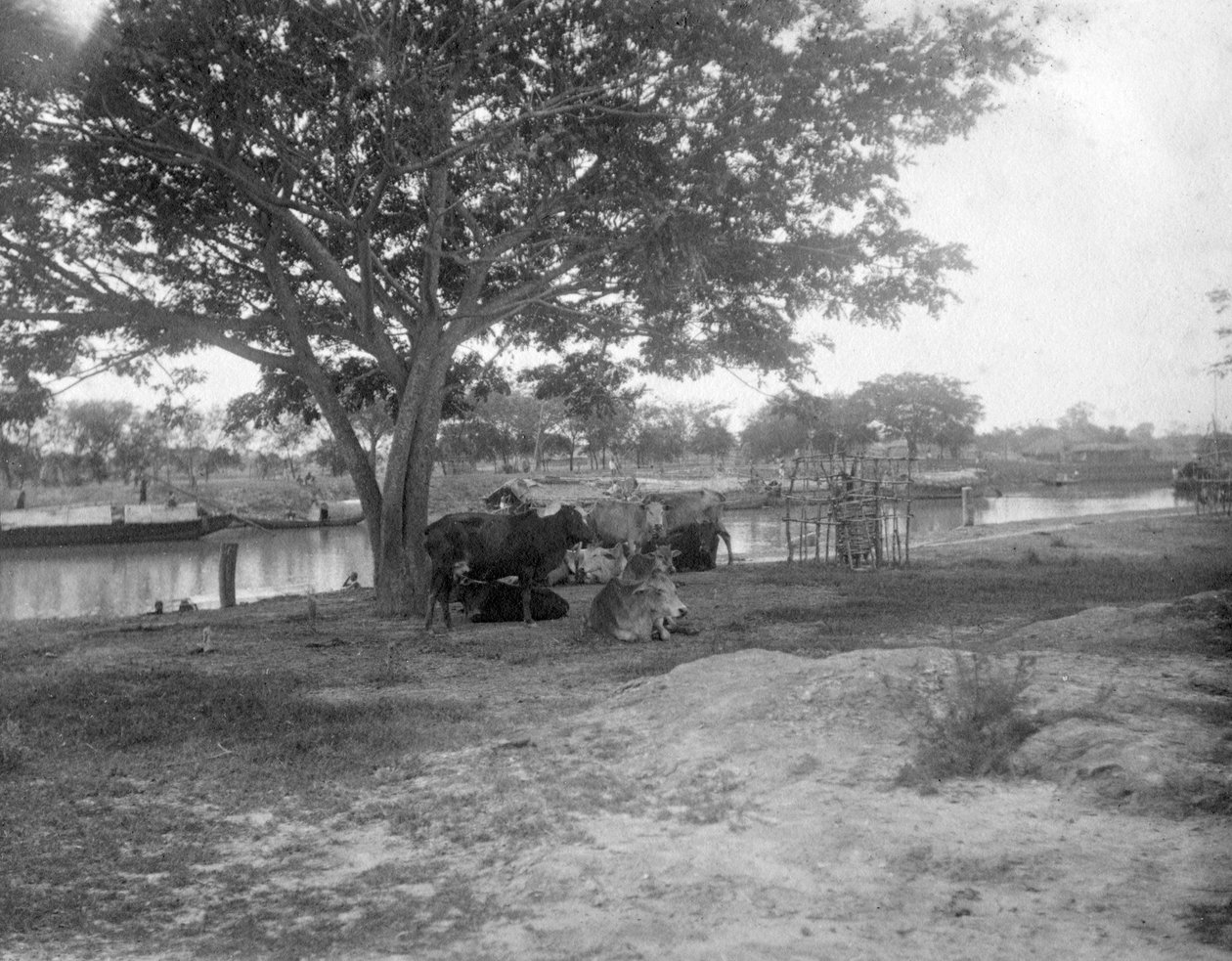 Katle, Alipore, Intia, 1905-1906 tekijältä F. L. Peters