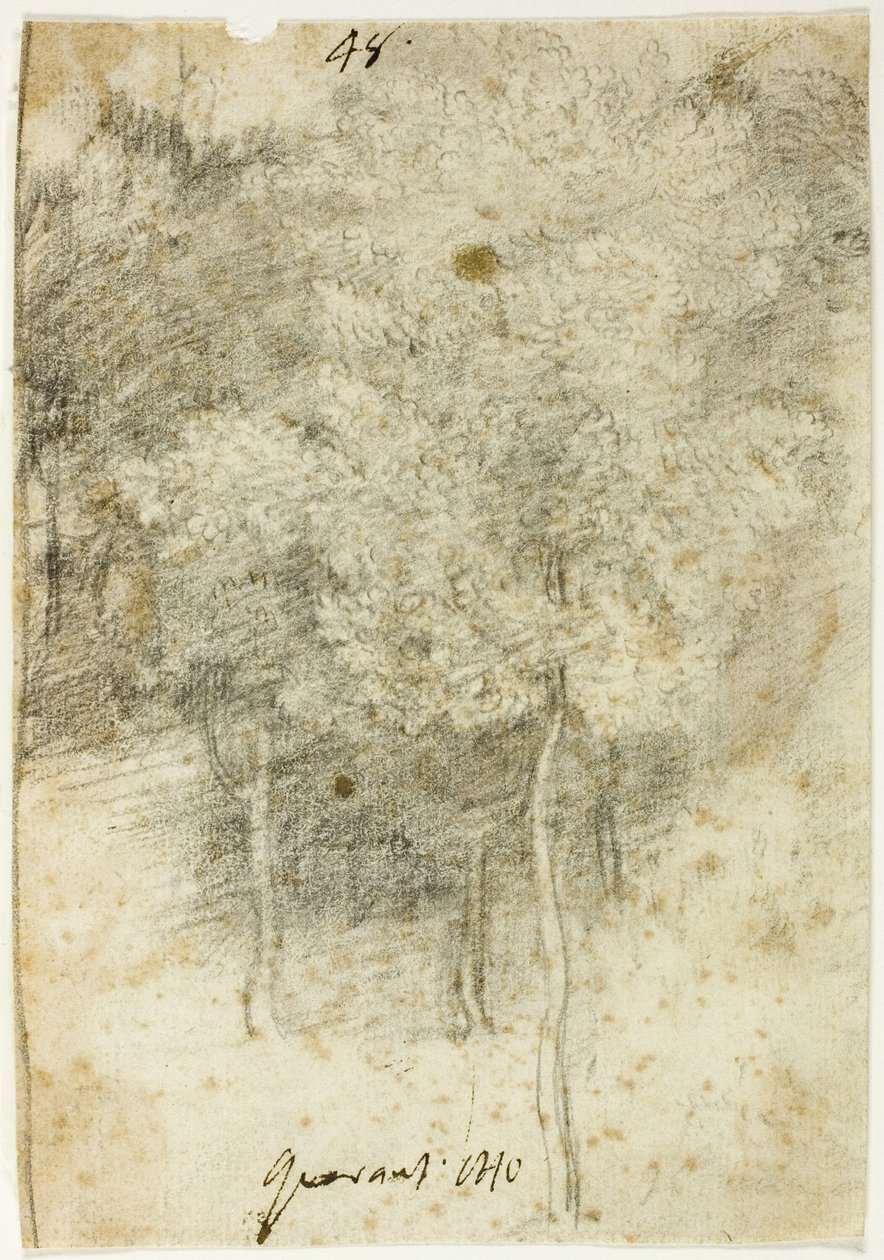 Puiden lehto tekijältä Federico Barocci