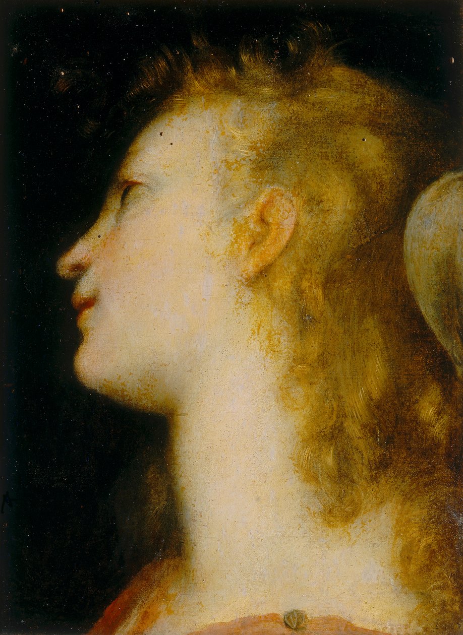 Enkelin pää tekijältä Federico Barocci