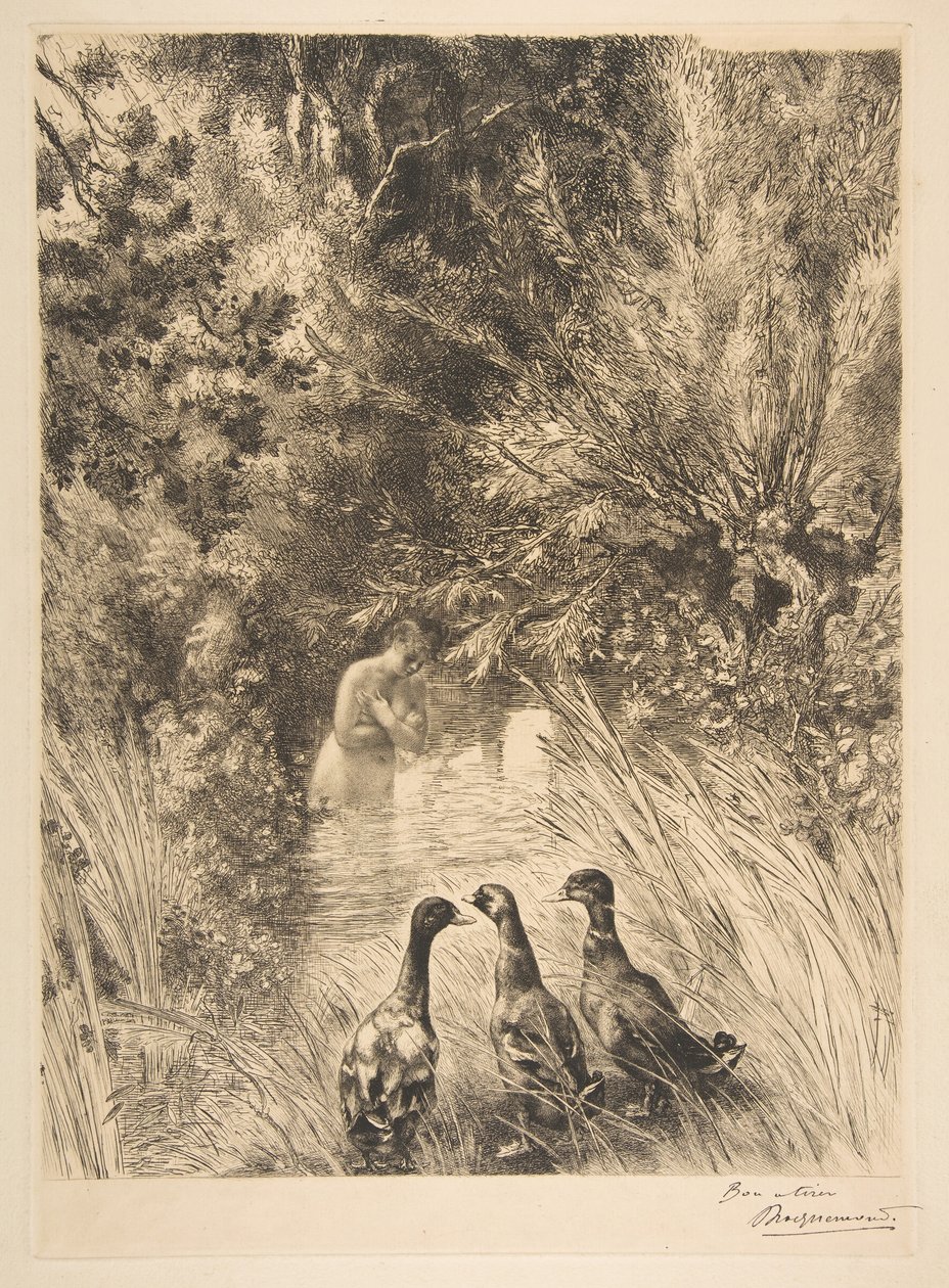 Yllättyneet ankat, 1882. tekijältä Felix Bracquemond
