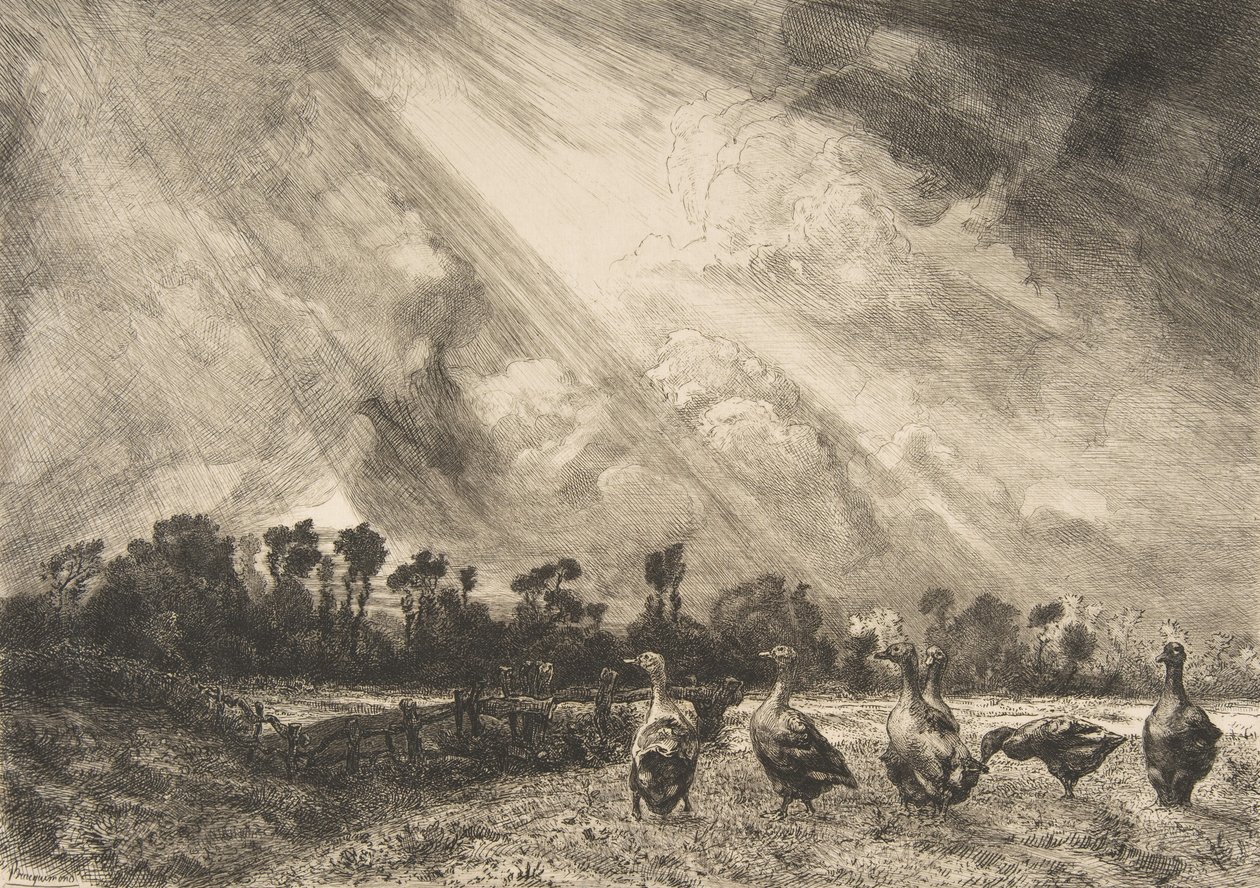 Myrskypilvi, 1882-84. tekijältä Felix Bracquemond