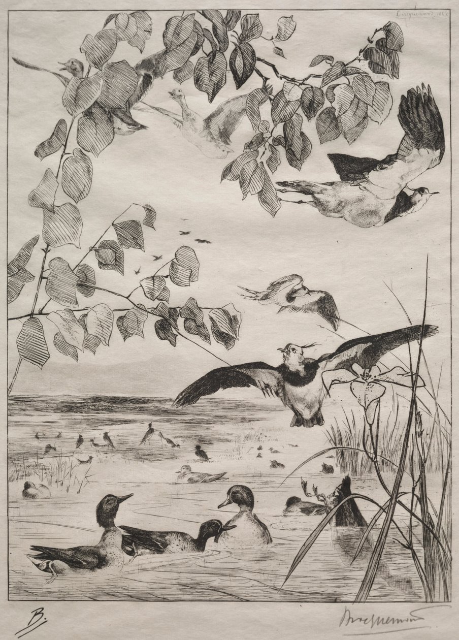 Lapwings and Teals, 1862. tekijältä Felix Bracquemond