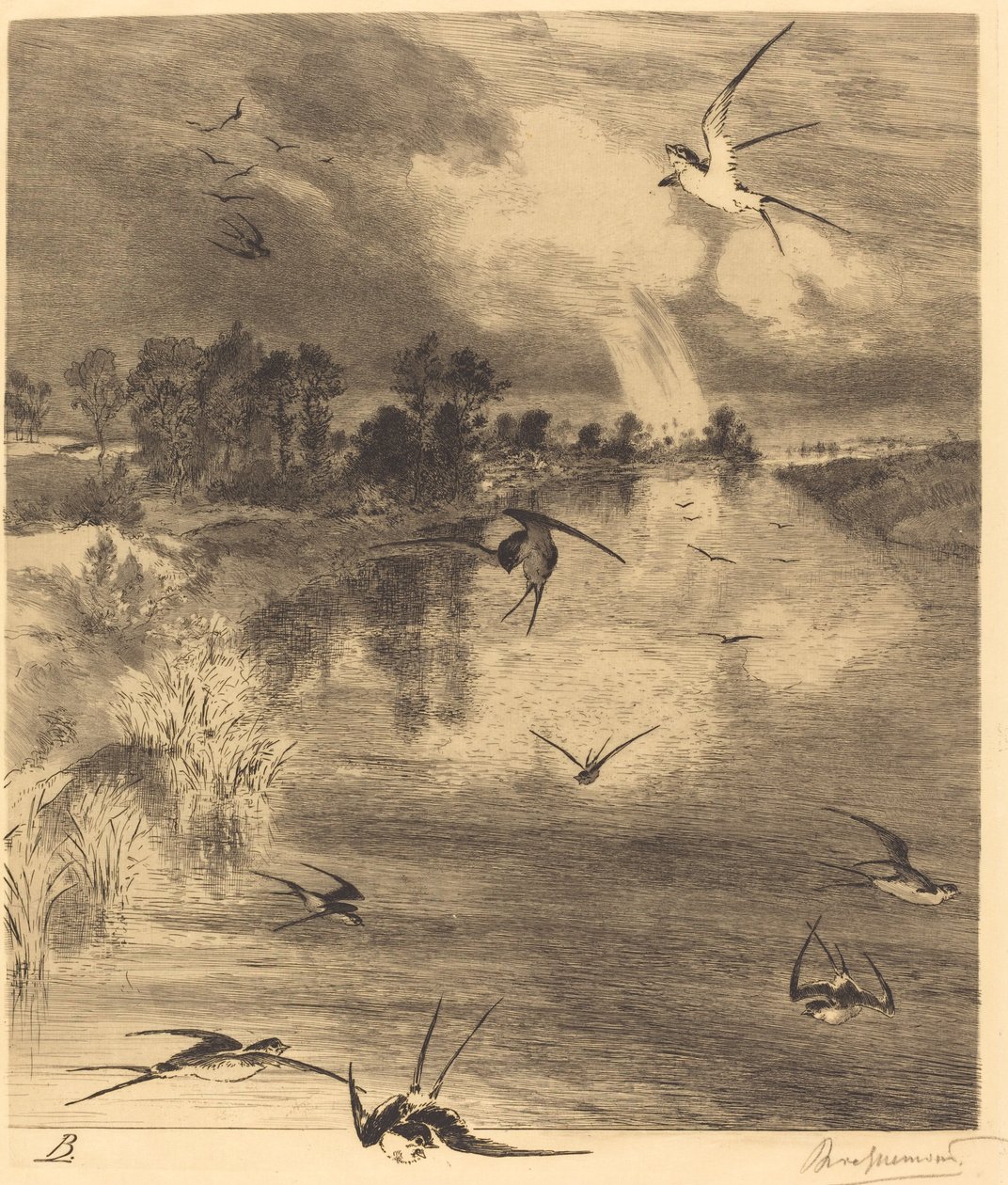 Les Hirondelles (Pääskyset) tekijältä Felix Bracquemond
