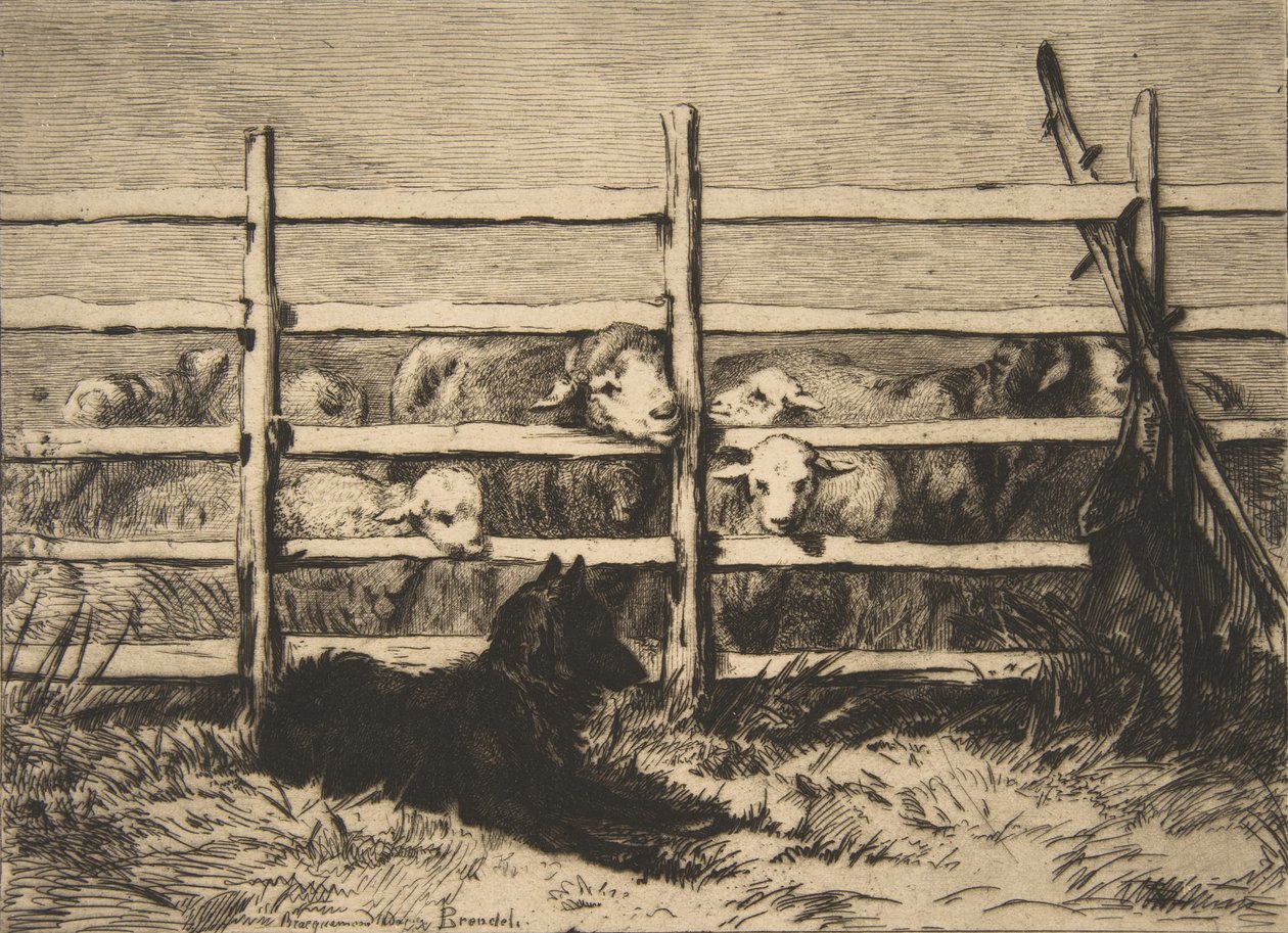 Paimetut lampaat, 1856. tekijältä Felix Bracquemond