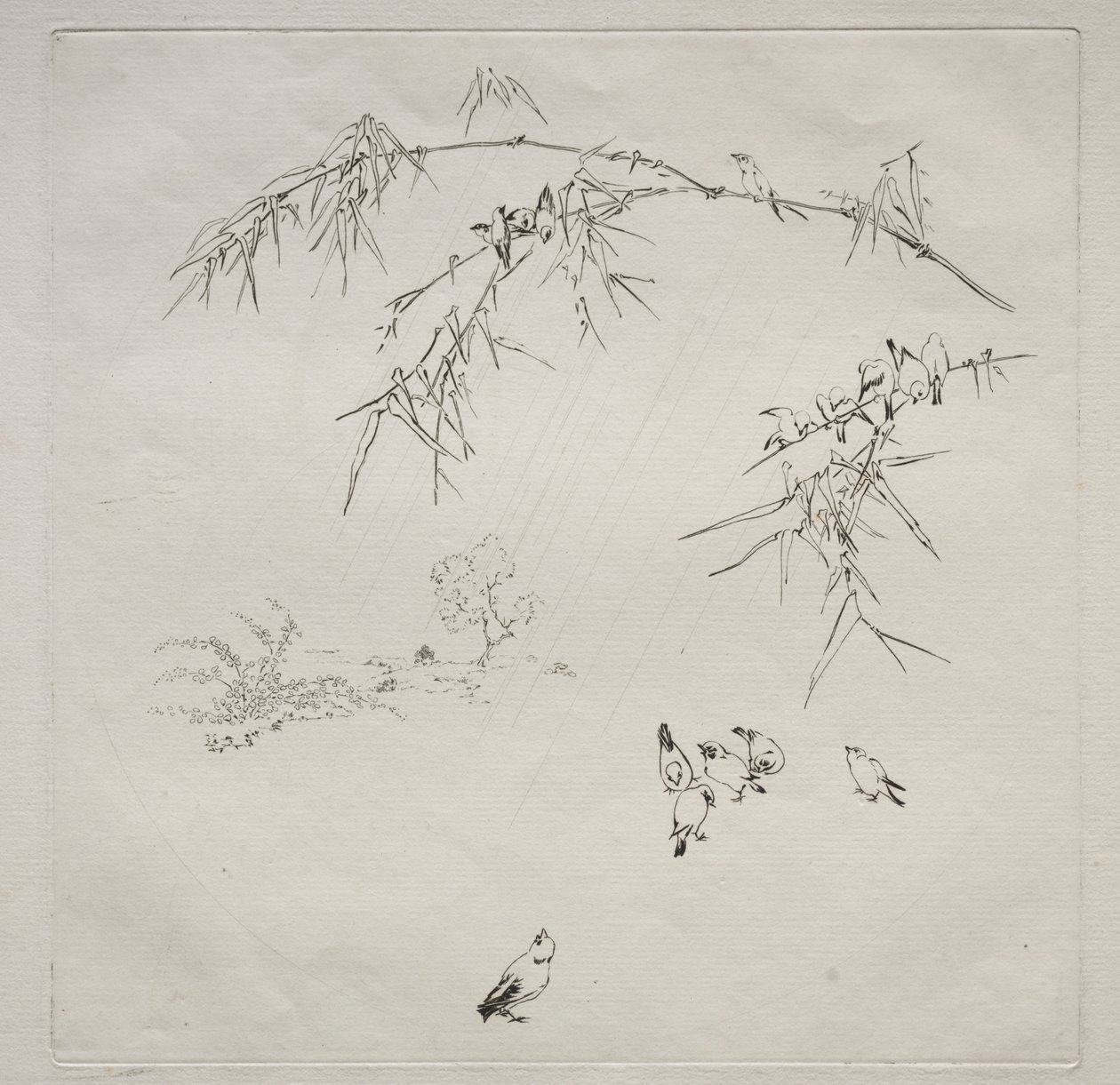Pariisin palvelu (Haviland-palvelu): Sade (nro 10) tekijältä Felix Bracquemond