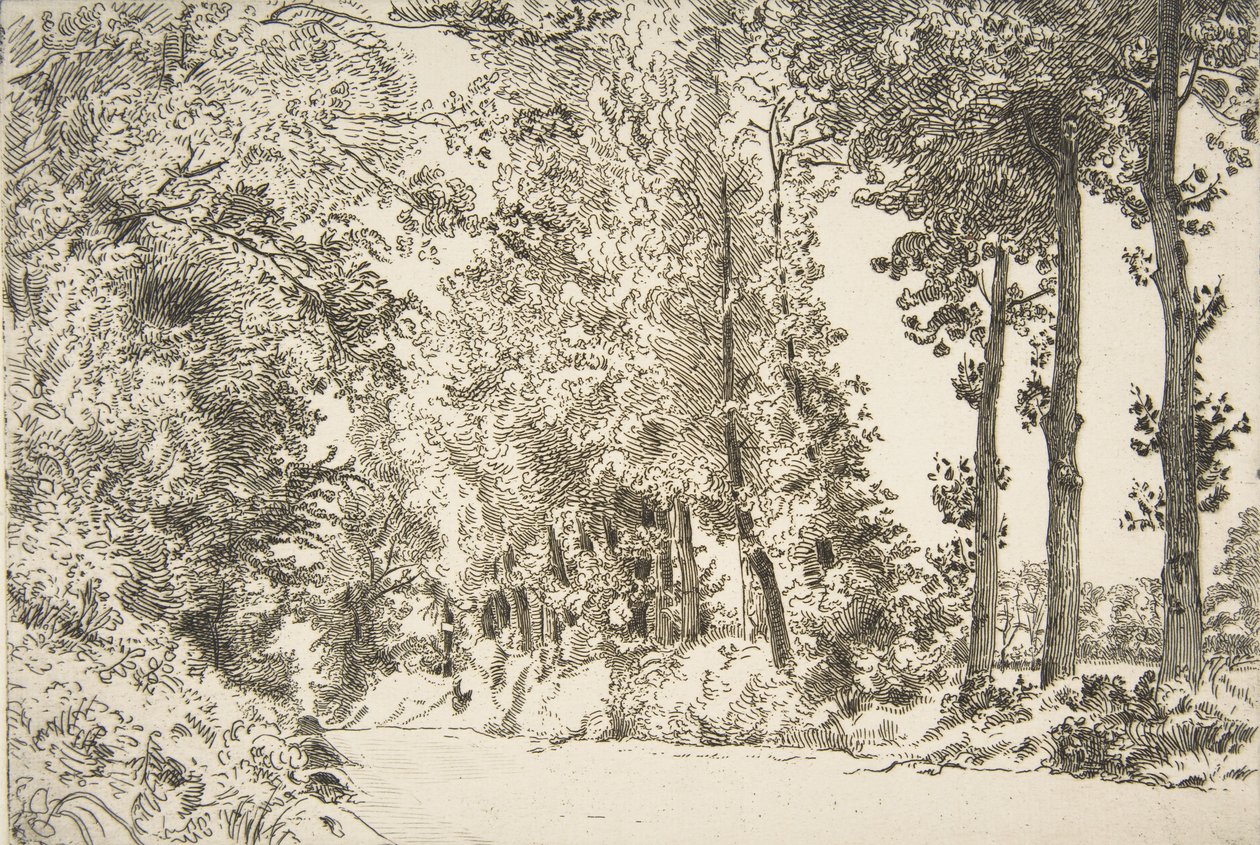 Rue des Bruyères, Sèvres, 1868. tekijältä Felix Bracquemond