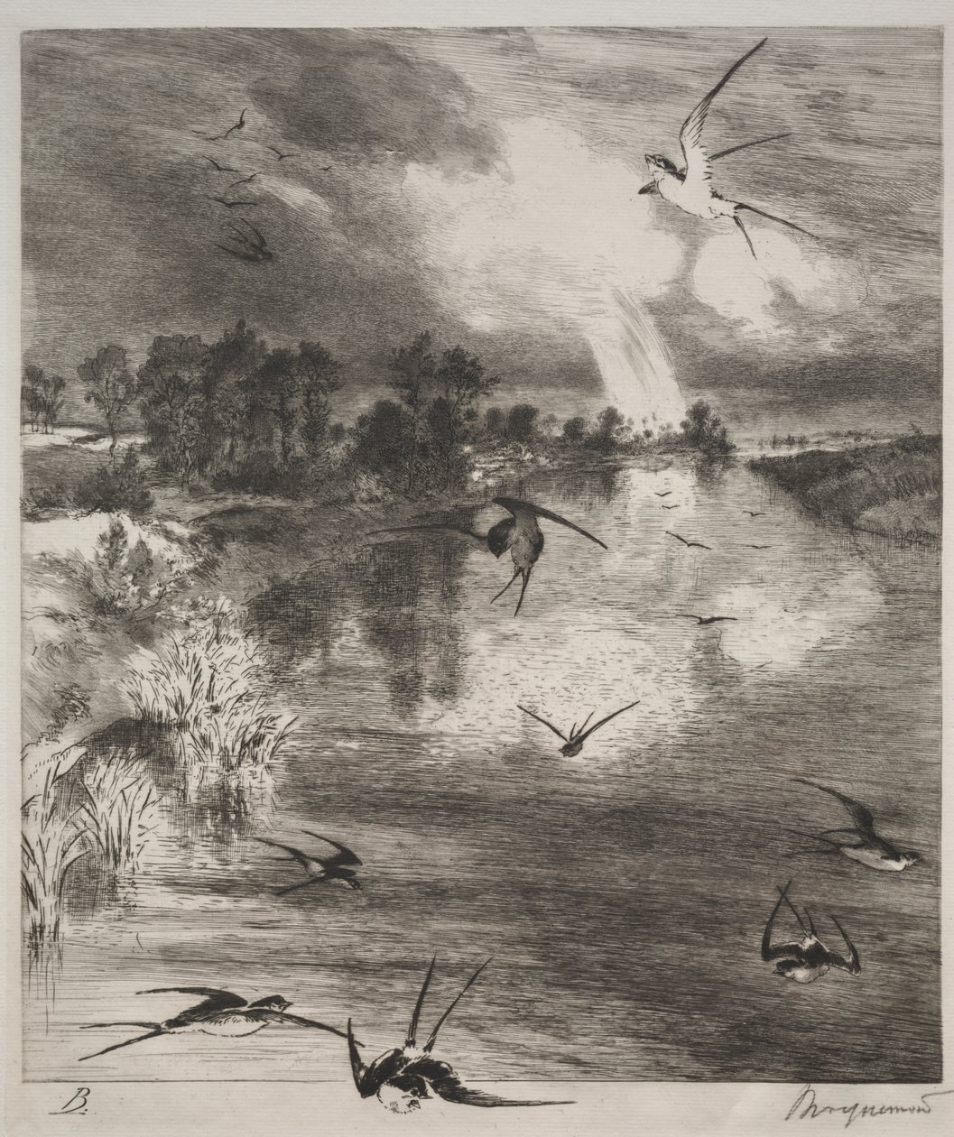 Pääskyset tekijältä Felix Bracquemond