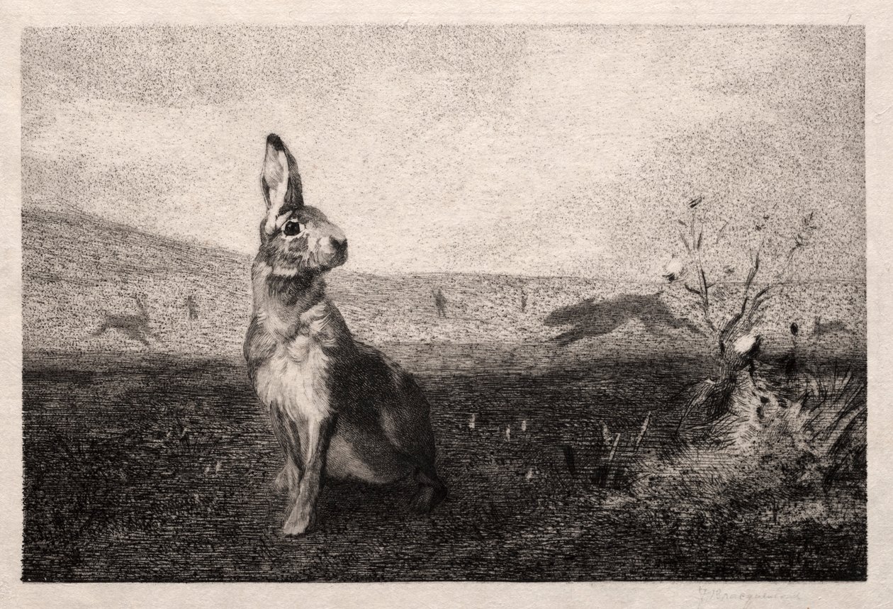 Jänis A. de Balleroyn jälkeen, 1865. tekijältä Felix Bracquemond