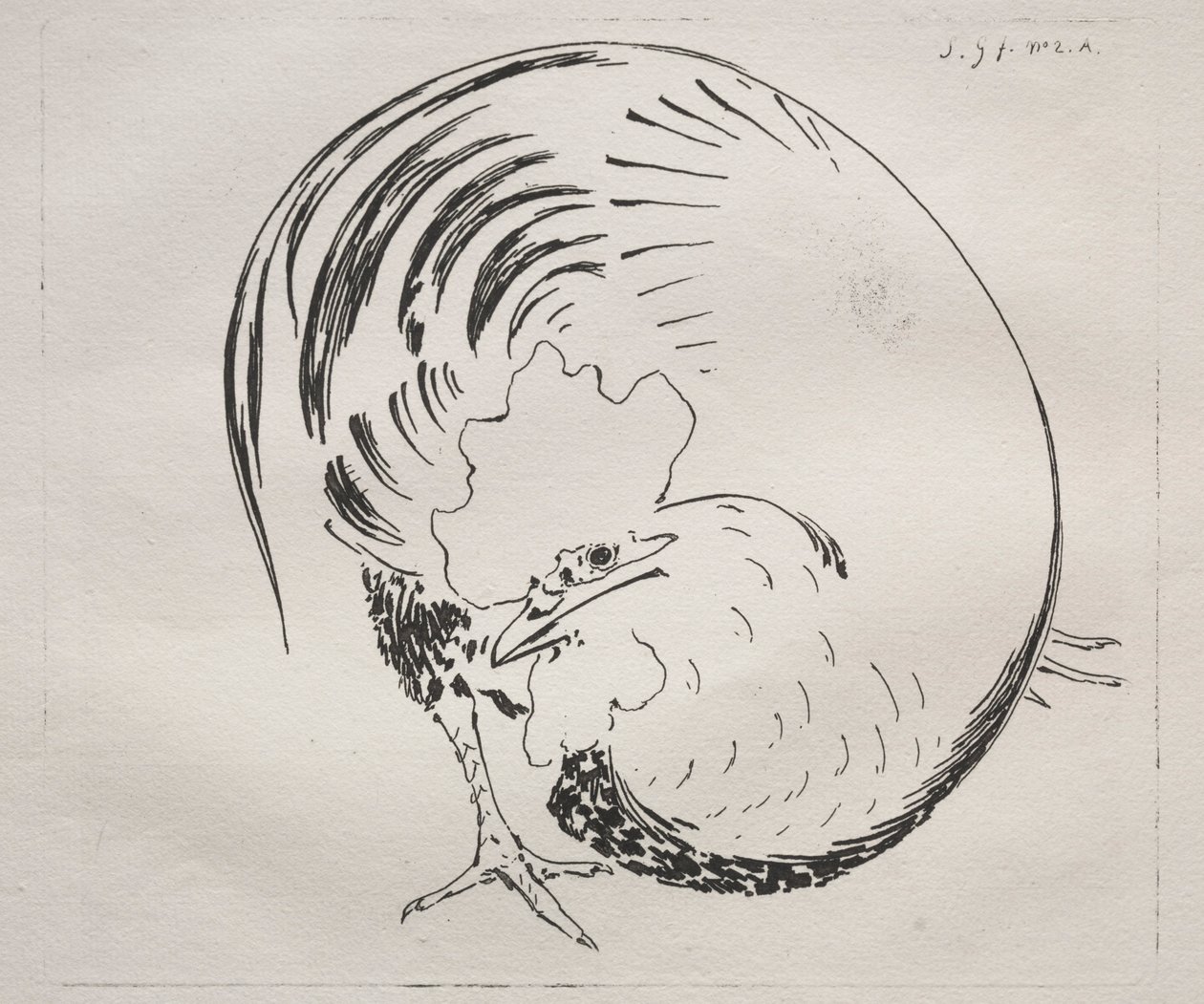 High-Fired Service: Rooster counterproof, c. 1860. tekijältä Felix Bracquemond