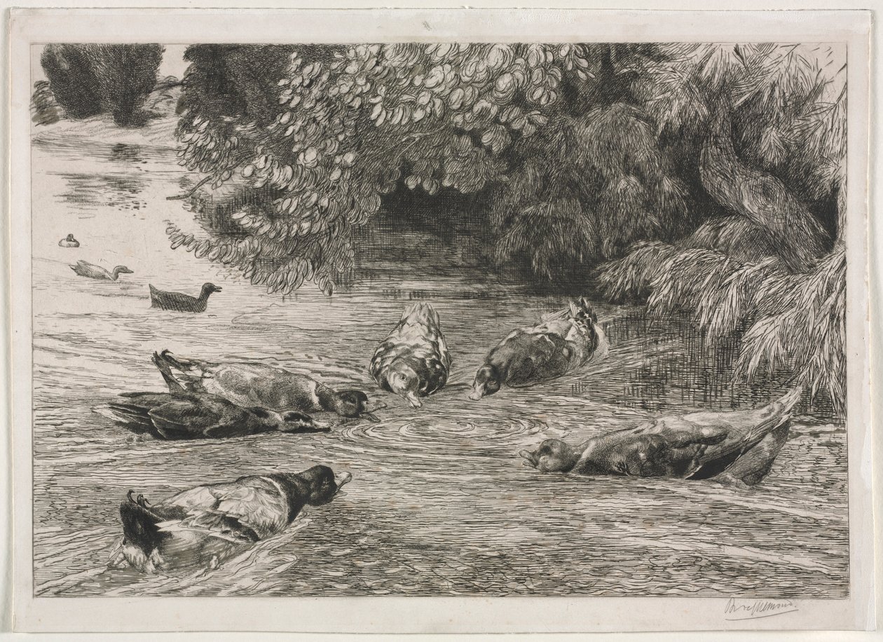 Kysymysmerkki, c. 1865. tekijältä Felix Bracquemond