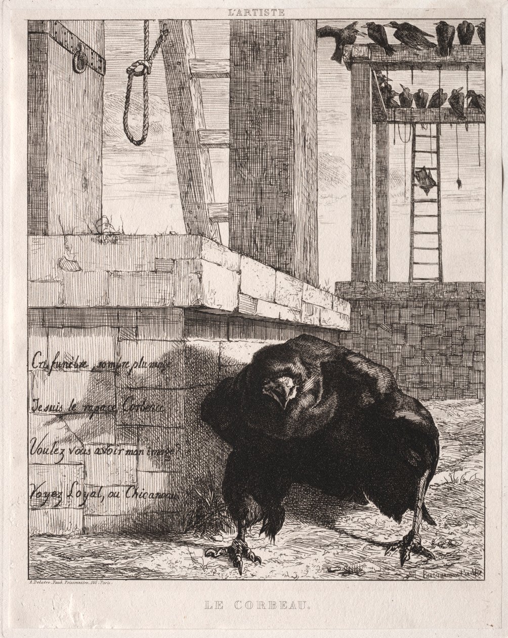 Korppi, 1854. tekijältä Felix Bracquemond