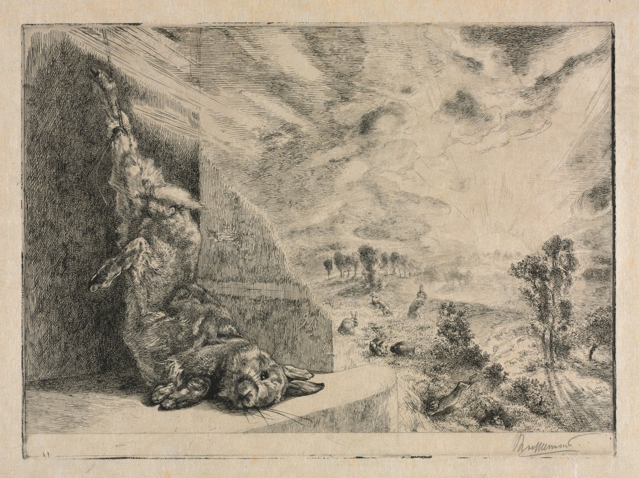 Villi kani, 1891. tekijältä Felix Bracquemond