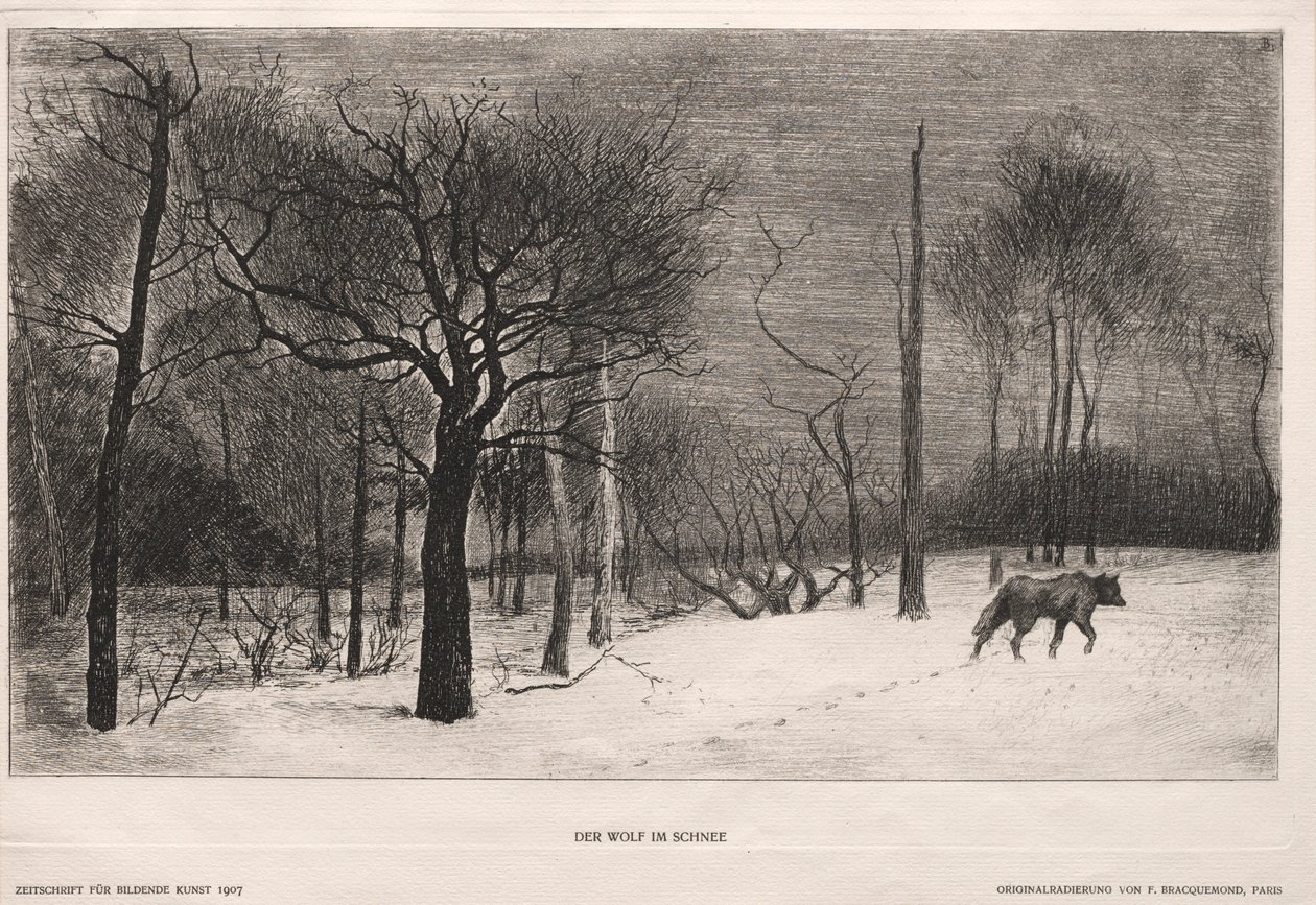 Talvi, 1862. tekijältä Felix Bracquemond
