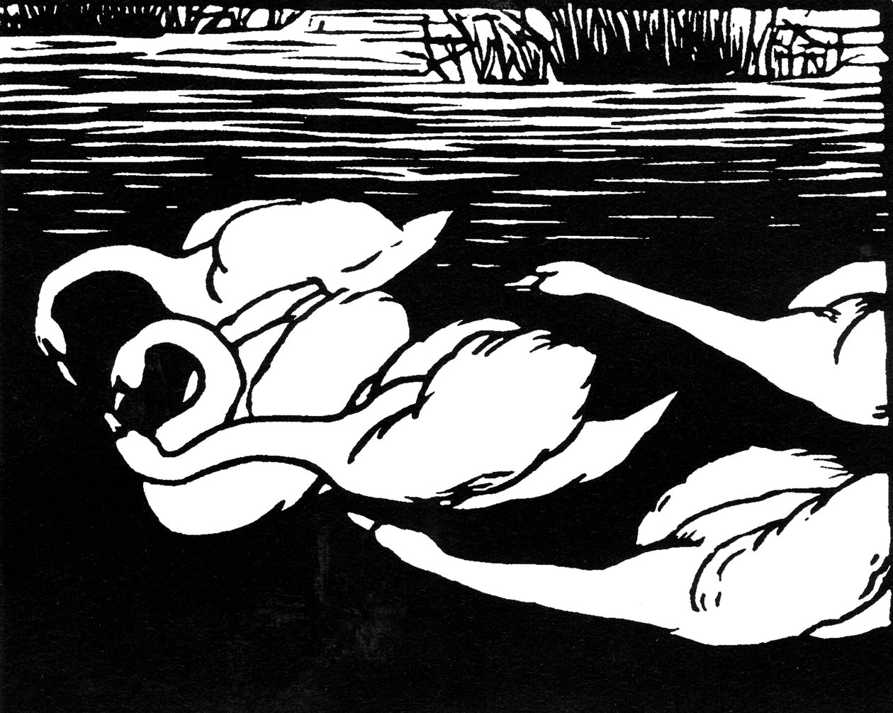 Joutsenet, 1892. tekijältä Felix Edouard Vallotton