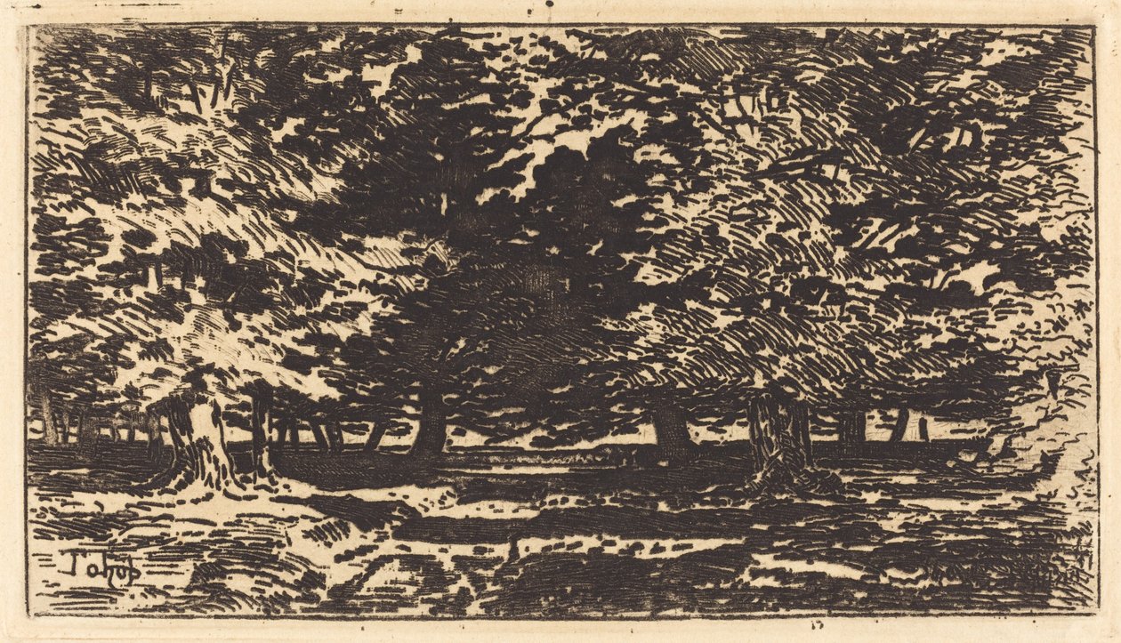 Metsä. tekijältä Felix Hilaire Buhot