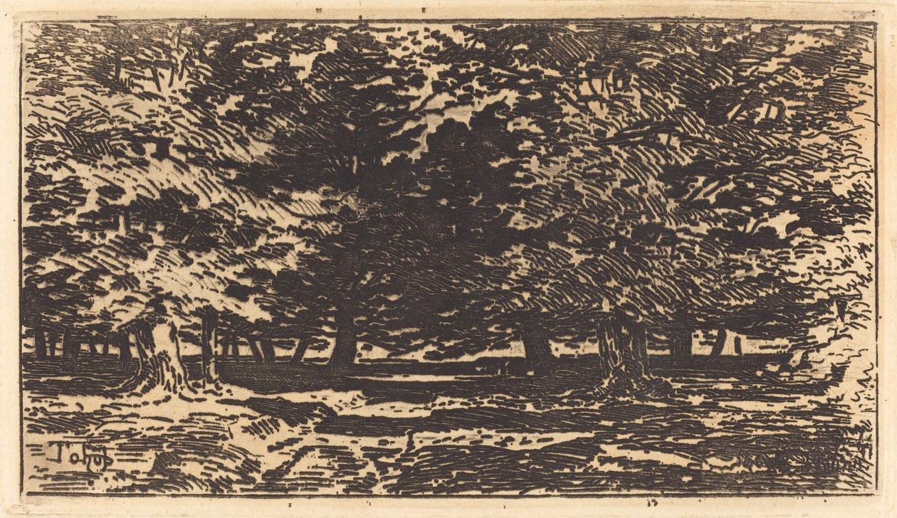Metsä. tekijältä Felix Hilaire Buhot