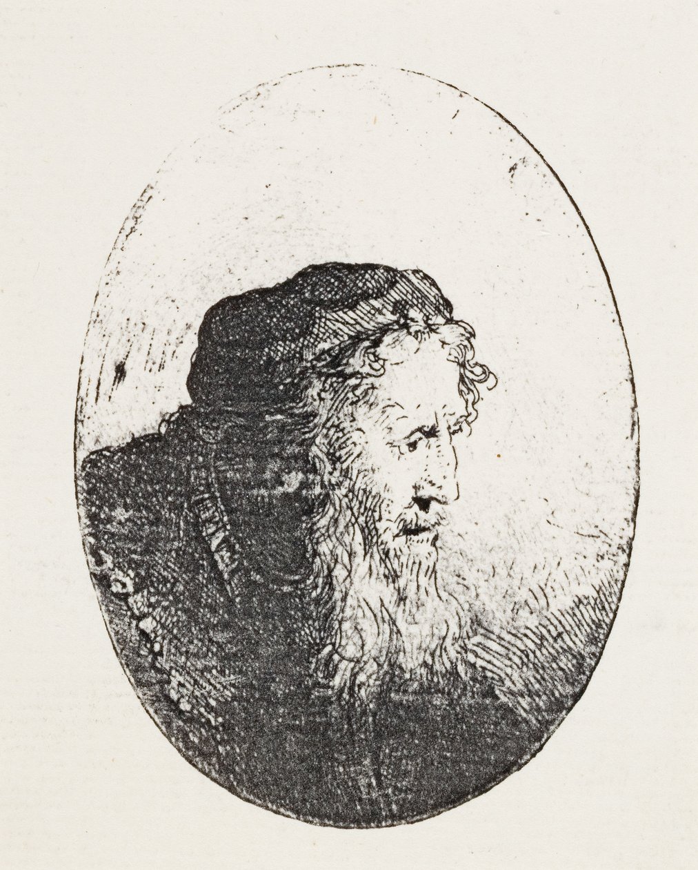 Parrakas vanha mies, n. 1644-1646 tekijältä Ferdinand Bol
