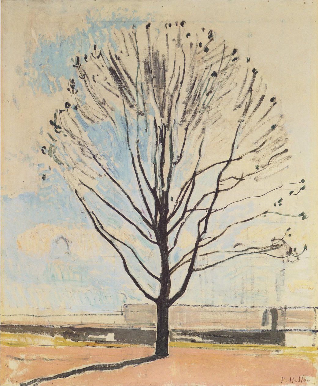 Paljas puu tekijältä Ferdinand Hodler