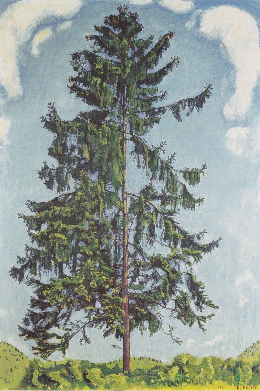 Kuusi Chambyn lähellä2 tekijältä Ferdinand Hodler