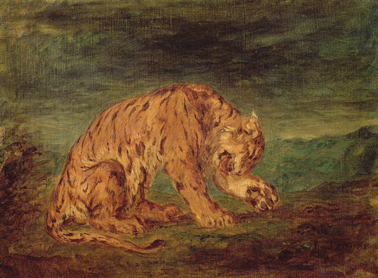 Tiikeri nuolee tassua tekijältä Ferdinand Victor Eugene Delacroix