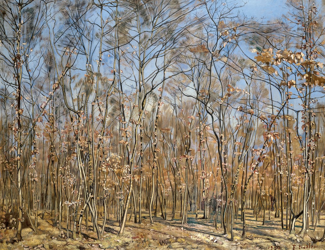 Pyökkimetsä, 1885-1894. tekijältä Ferdinand Hodler